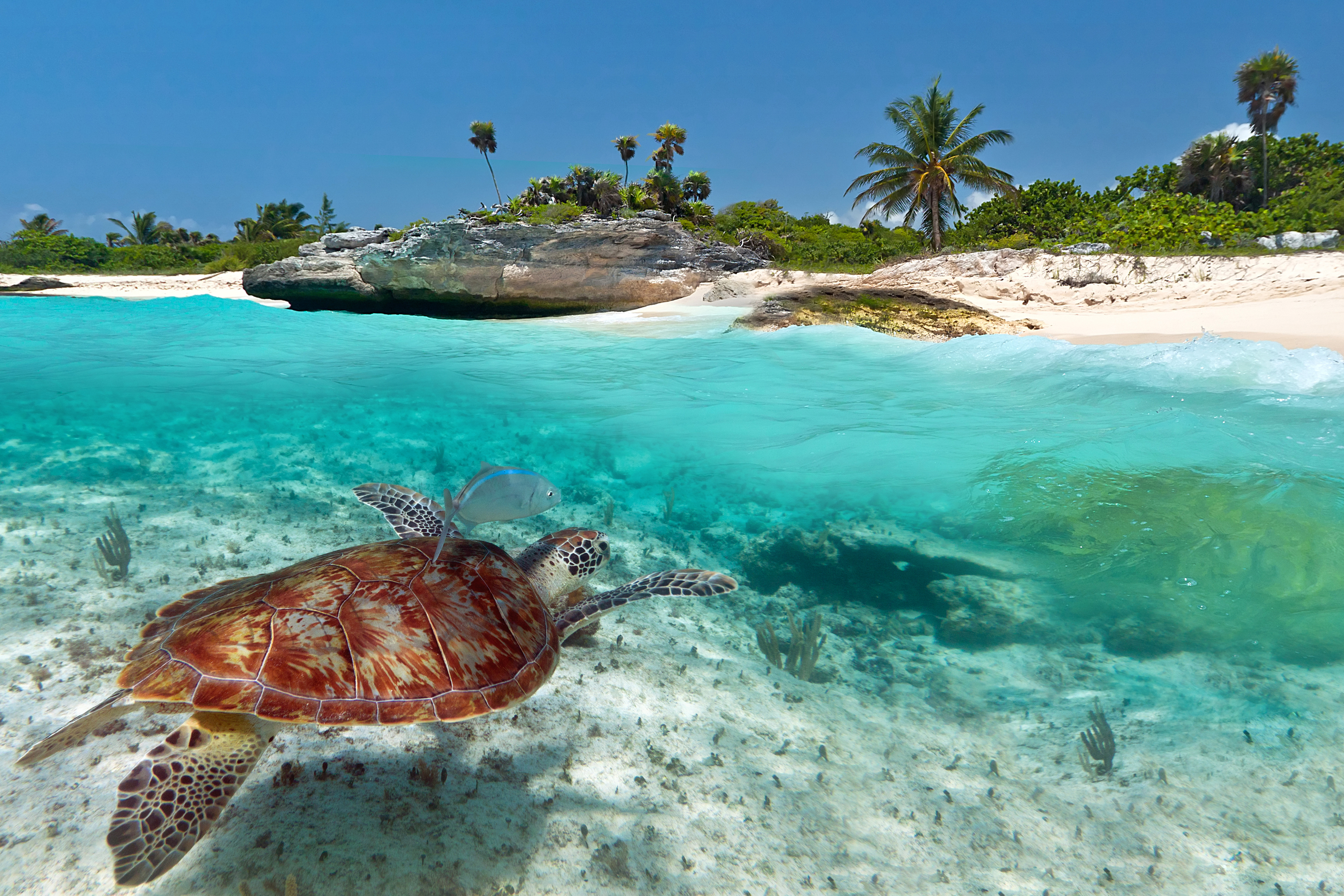 RIU Yucatan