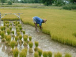Ongerept Thailand 19 daagse rondreis 4