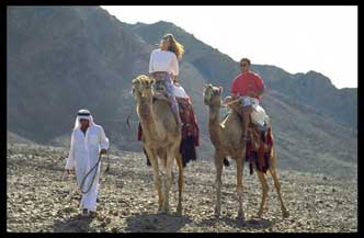 8dgn 4* Jeepsafari Sinai Inclusief excursies TCPRR014