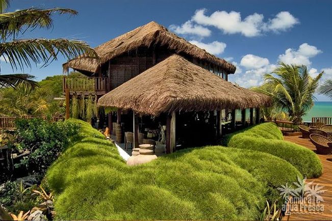 16 daagse reis incl 8 daagse Rondreis Zuid icm hotel Sombra e Agua Fresca