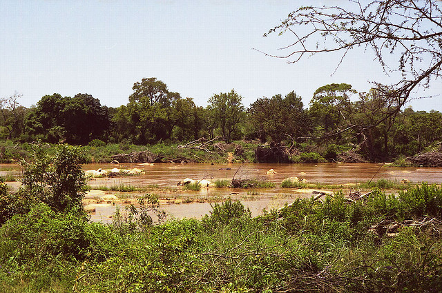 Kruger National Park en Mozambique