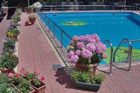 Flamingo voorheen Doncho